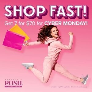 Perfectly Posh Beauty & skincare products